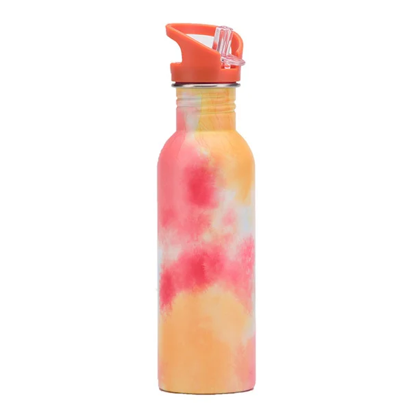 750 ml Single Wall Portable Stainless Steel Water Bottle with Straw
