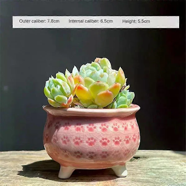 Keramisk Blomsterpotte Moderne Design Drænhul Katteklo Keramik Kød Blomsterpotte Bonsai Blomsterpotte Kreativ Blomster Dekoration
