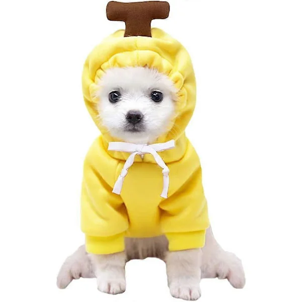 Valp Hund Huvtröja Katt Huvtröjor Djurkläder Trendig Frukt Tröja för Hund Katt Små Mellanstora Husdjur, Morot Banana