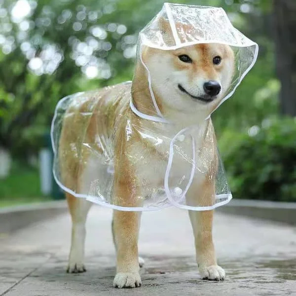 Waterproof Coat for Small Dogs and Cats with Hood Adjustable PVC Transparent Ultralight