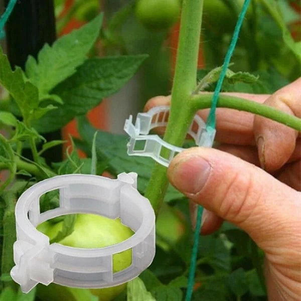 200-pack trädgårdsklämmor för växtstöd, kompatibla med tomatplantor [JUN]