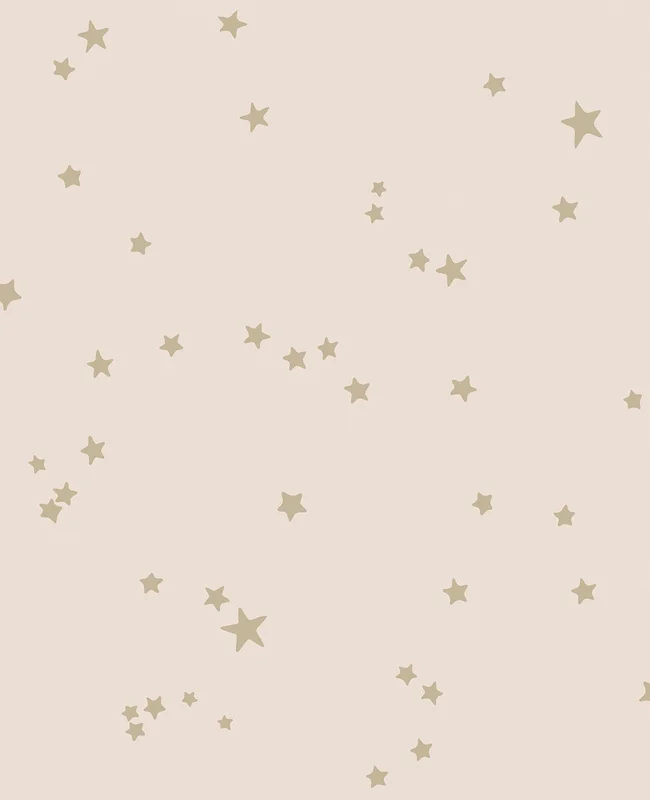Stars Wallpaper - Cole & Son Sample / Metallic Gilver on Ballet Slipper