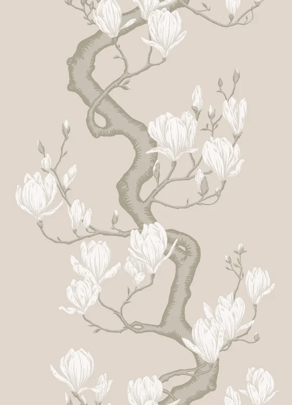 Magnolia Tree wallpaper - Cole & Son Sample / Soft Cream and Powder