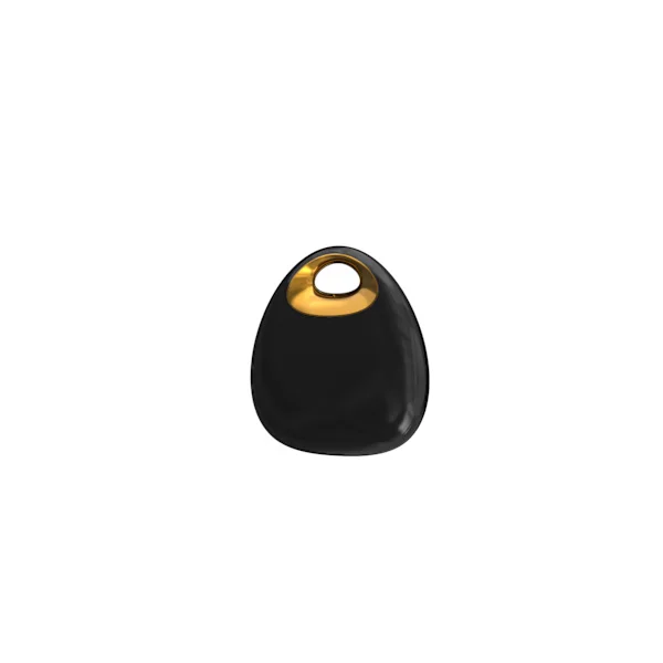GPS-paikannin lemmikeille, lapsille, ajoneuvoille, autoille, pieni kannettava paikannin, yhteensopiva iOS:n ja Androidin kanssa, autopaikannin IP67 