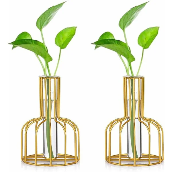 Set of 2 Mini Vases, Small Vases for Table Decoration, Modern Bud Vase, Hydroponic Glass Vase, Test Tube Vase (Gold)