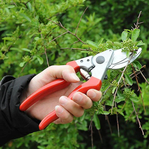 Left-handed Pruning Shears with Sharp Blade 25 mm x 210 mm x 65 mm