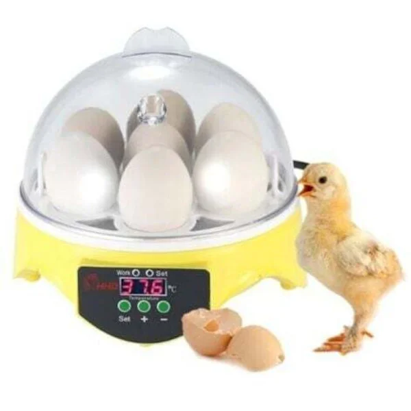 Automatisk rugemaskin for 7 egg med digital temperaturkontroll - for fjørfeoppdrett - Kylling, And, Vaktel, INHHUB