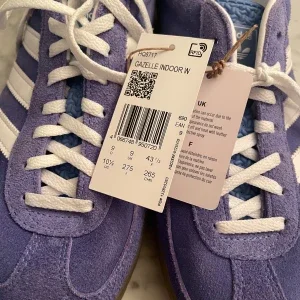 Gazelle indoor blue fusion