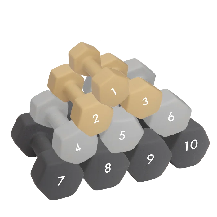 Abilica Manual 1–10 kg