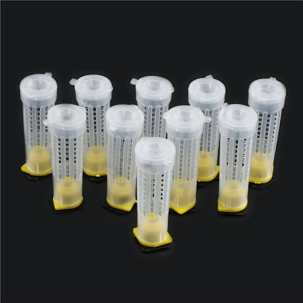 10 stk Birøkt Oppdrettskoppsett Bee Queen Cages Roller Beeeep