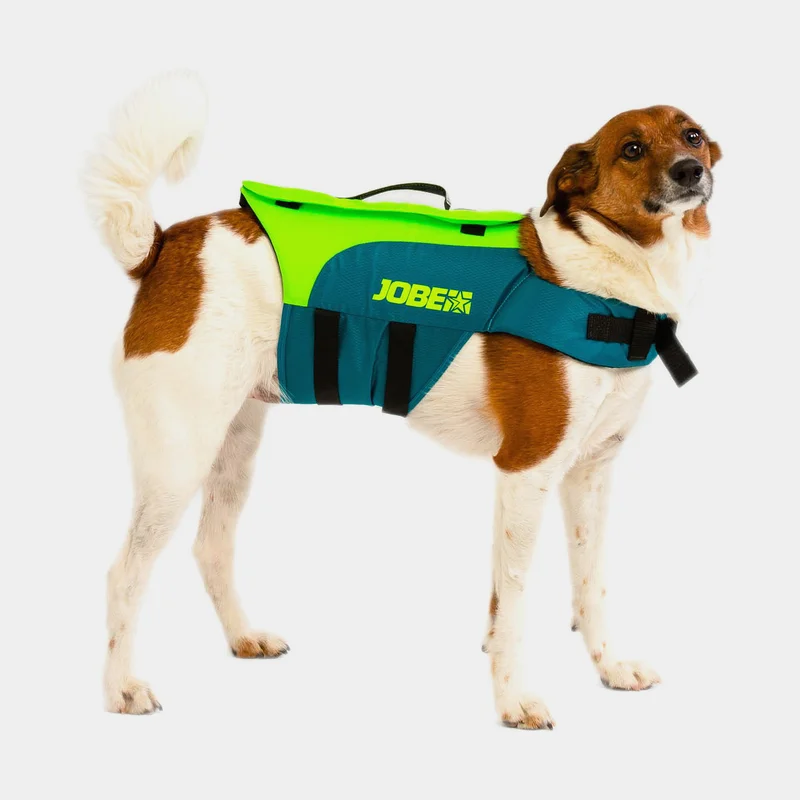 Honden zwemvest JOBE Pet Vest Lime Teal, Large