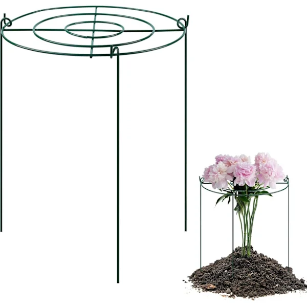 Peonstøtte og plantestøtte med ringbue og 3 ben, 3-pakning (45 cm)