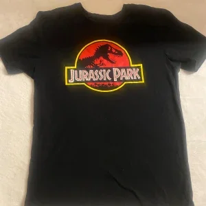 Svart Jurassic Park t-shirt från Zara