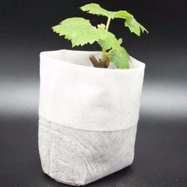 /Hc/100-Pack - Tomma Fröpåsar / Påsar för Fröplantor - Växt Vit