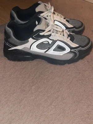 Dior b30