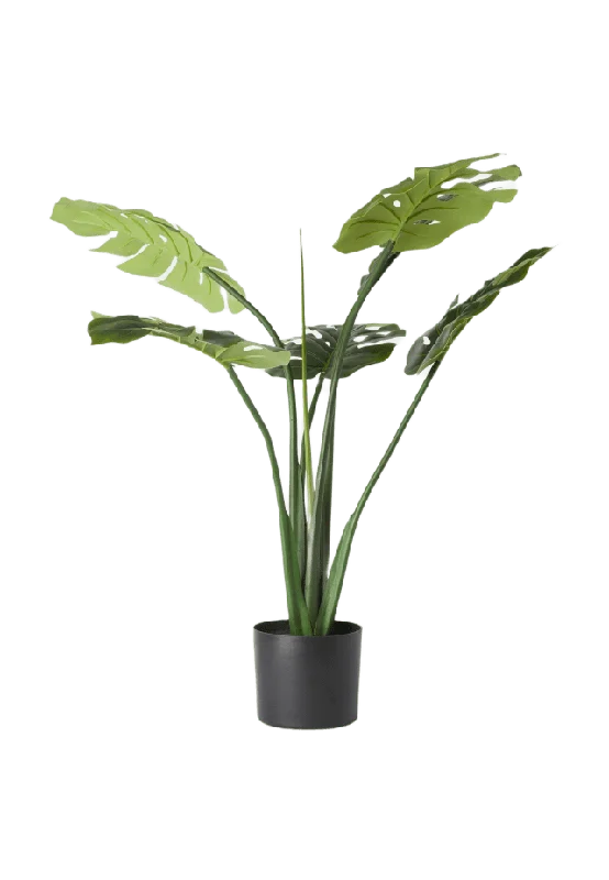 Åhléns Home Konstväxt monstera i kruka Blommor & växter Grön ONESIZE