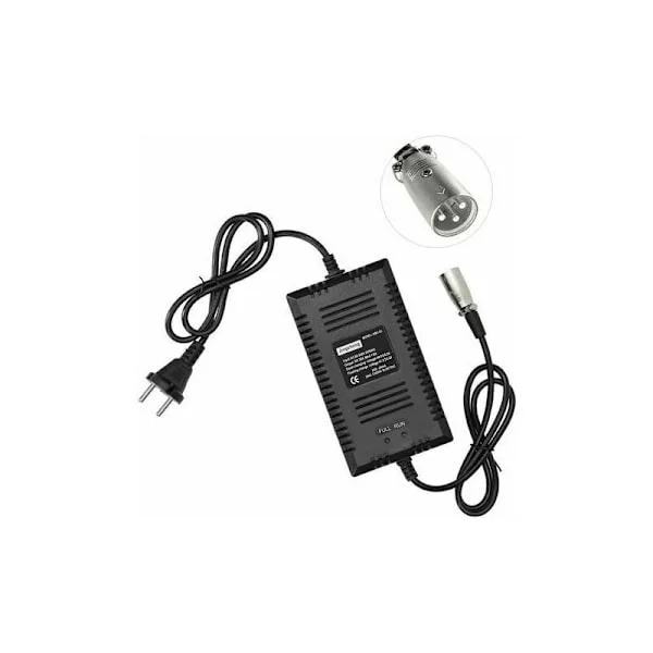 Intelligent Laddare För Elcykel Och Scooter, 36V XLR-kontakt (Typ A-kontakt)