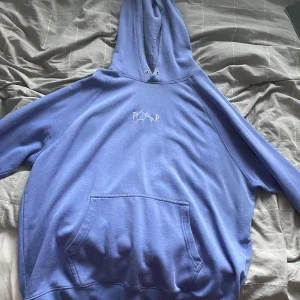 Polar hoodie