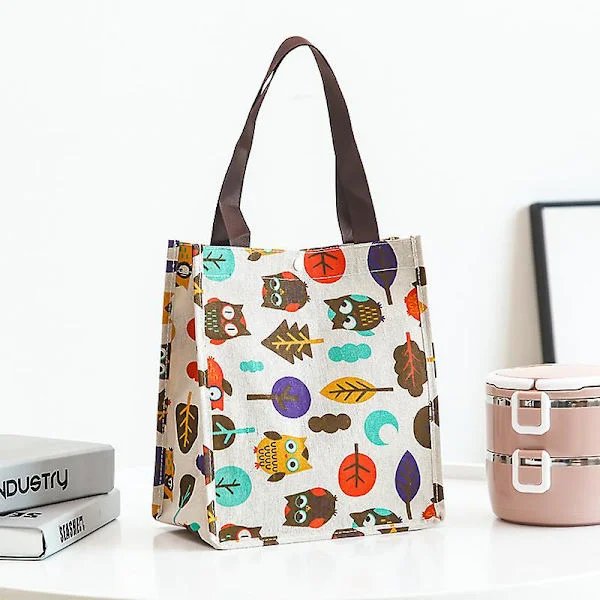 Lunch Bag Cool Bag Lunch Box Tote För Kvinnor Män Vuxna Barn (21*24*12.5cm)