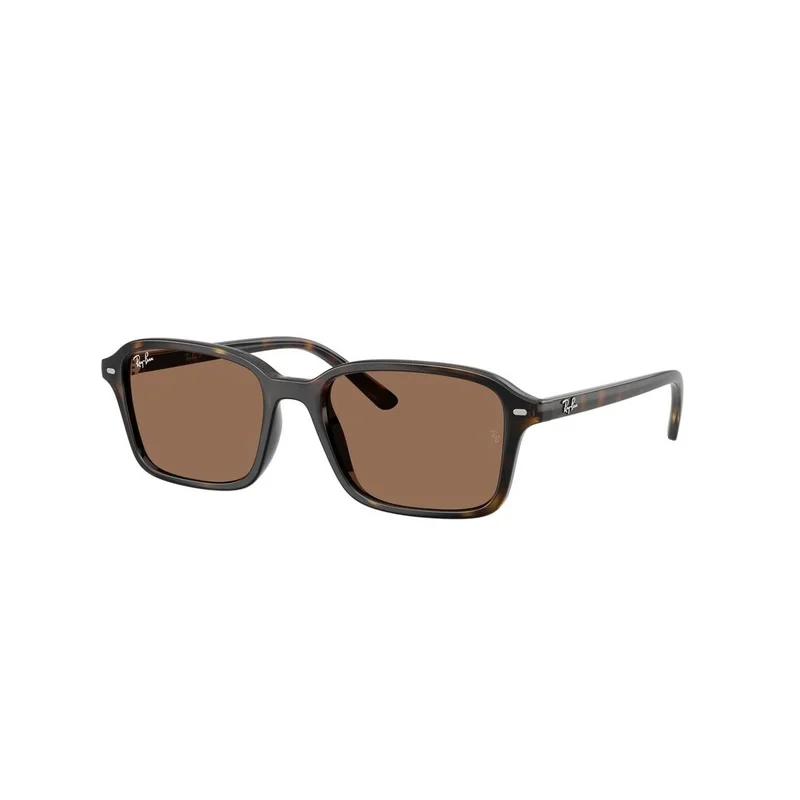 Ray-Ban Junior - Solbriller - Brun - Barn - RJ9131S 152/73 5017