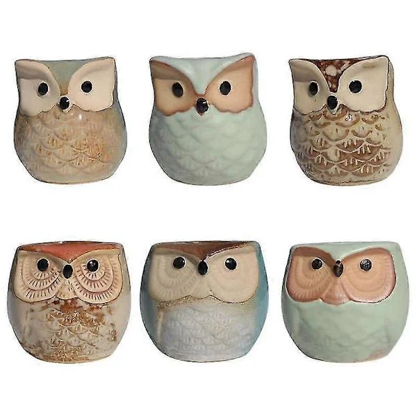 Succulent Pots 6 Pcs Ceramic Owl Flower Pots Cactus Pot Succulent Animal Container With Drainage Hole Home Office Desk Garden