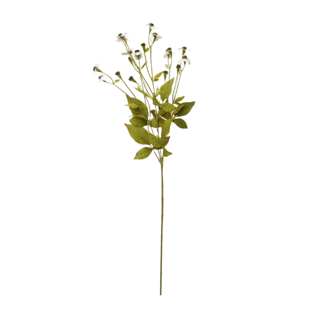 Åhléns Home Konstväxt ringblomma Blommor & växter Vit ONESIZE