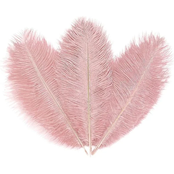 10 st ljusa rosa strutsfjädrar, naturliga lotusrosa fjädrar plymer 10-12 tum (25-30 cm) bulk för hantverk vas bröllopsfest mittpunkt blomma Arran