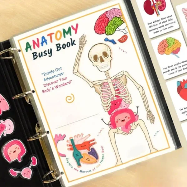 Aktivitetsbok for barn om menneskets anatomi, sensorisk aktivitetsbok, Montessori aktivitetsbok menneskelig modell førskolebarns lærebok