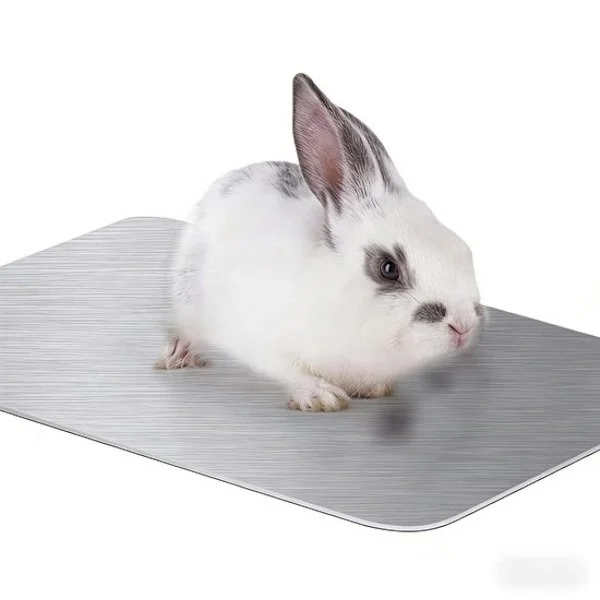 Kjølematte – Kjølematte for kanin – 30×20 cm – Kjølematte for marsvin – Matte for små kjæledyr – Bitbestandig kjølematte