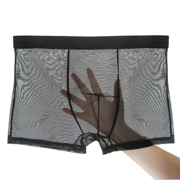 Mænds Underbukser Mænds Ultratynde Transparent Boxer Shorts Mænds Mesh Briefs Homme Panties Boxer Komfortable Mænds Underbukser AB195