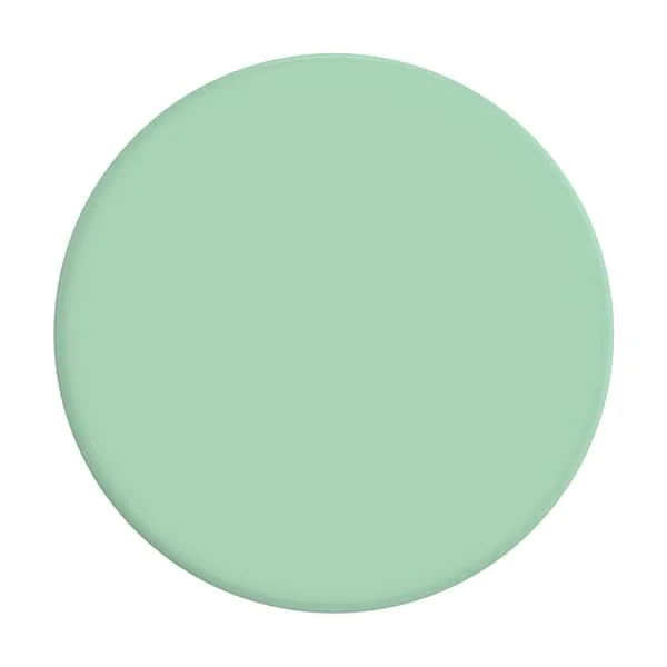 PopSockets Basic Grip Pastell Mint