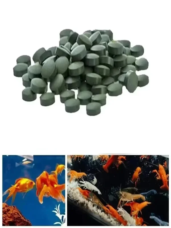 AliExpress - 100-3000 Stück hochreine Spirulina-Tabletten, die reich an Spirulina sind. Lieblingsfutter für Haustiere, Garnelen- und Fischfutter, 