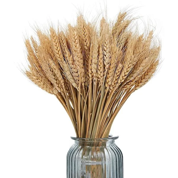 Naturlig tørket hvete tørket hvete hvete bukett dekorasjon tørkede blomster for bryllupsborddekorasjoner hjem balkong fest bordvase dekorasjon (brun, 