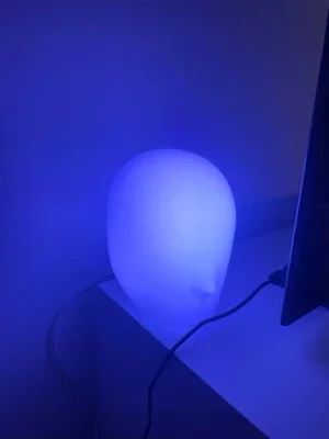 Ledlight