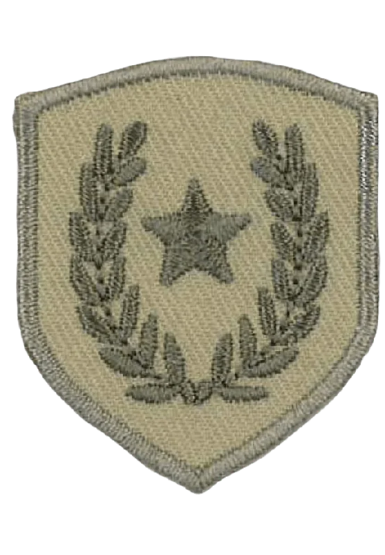 Trend-Tex Applikation Blazon Sytillbehör Brun 9 CM