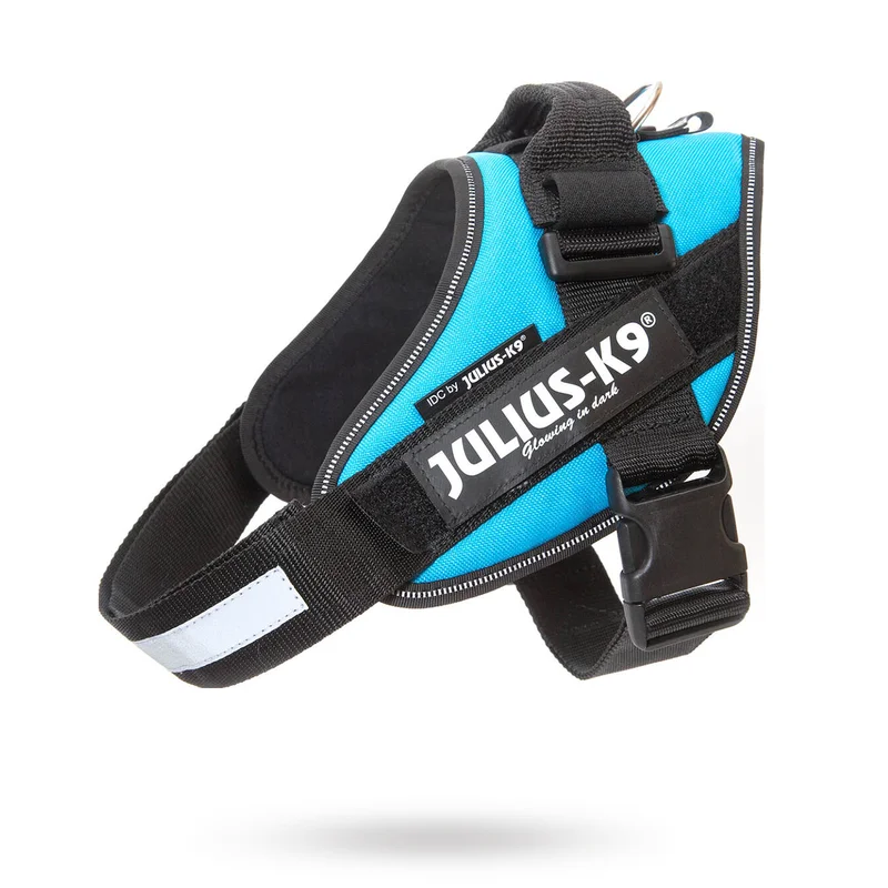 JULIUS-K9 - K9 IDC Hundsele Aquamarine