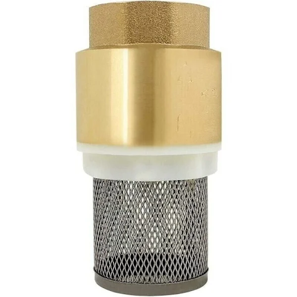 1/23/412 tums backventil med sil - backventil pump backventil (1 tum)