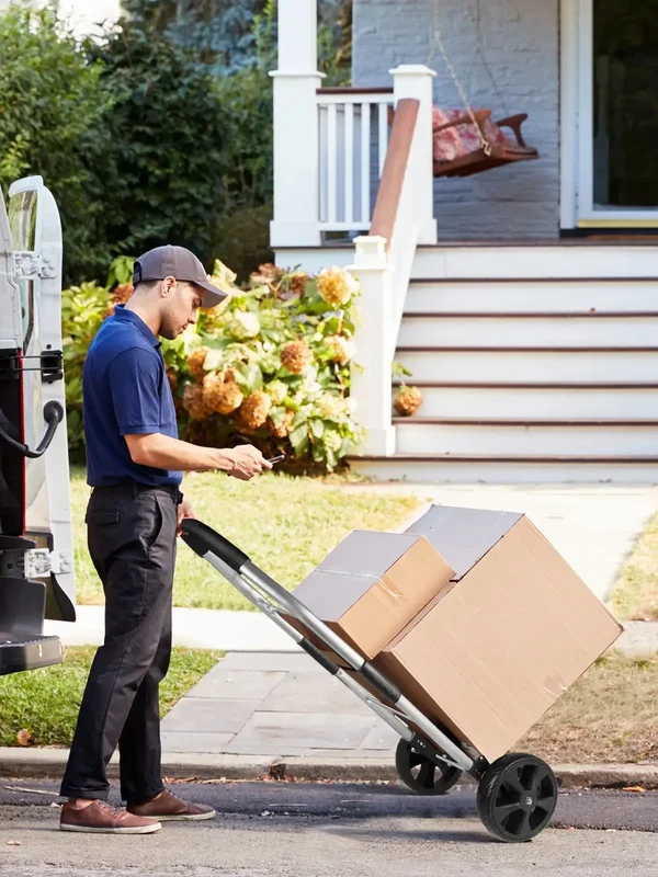 AliExpress - DayPlus faltbarer Einkaufswagen, Einkaufswagen mit abnehmbarer Einkaufstasche, Kotflügel-Treppensteiger-Einkaufswagen, 40 l