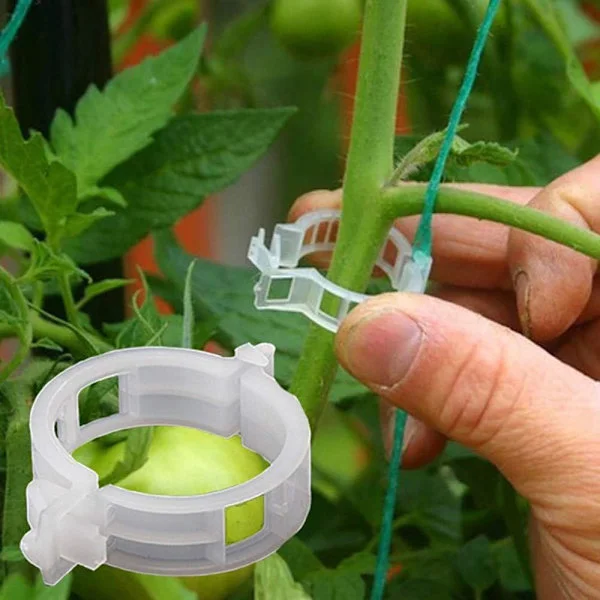 100 stk. planteclips til haven, tomatclips til støtte/forbindelse af planter