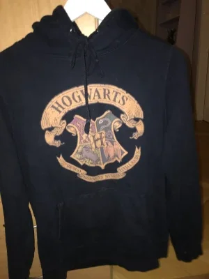 Harry Potter hoodie