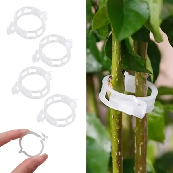 30 växtklämmor för tomatplantor, vinrankor, klättrande grönsaker Trädgårdsprodukter som främjar växthälsa och optimal tillväxt