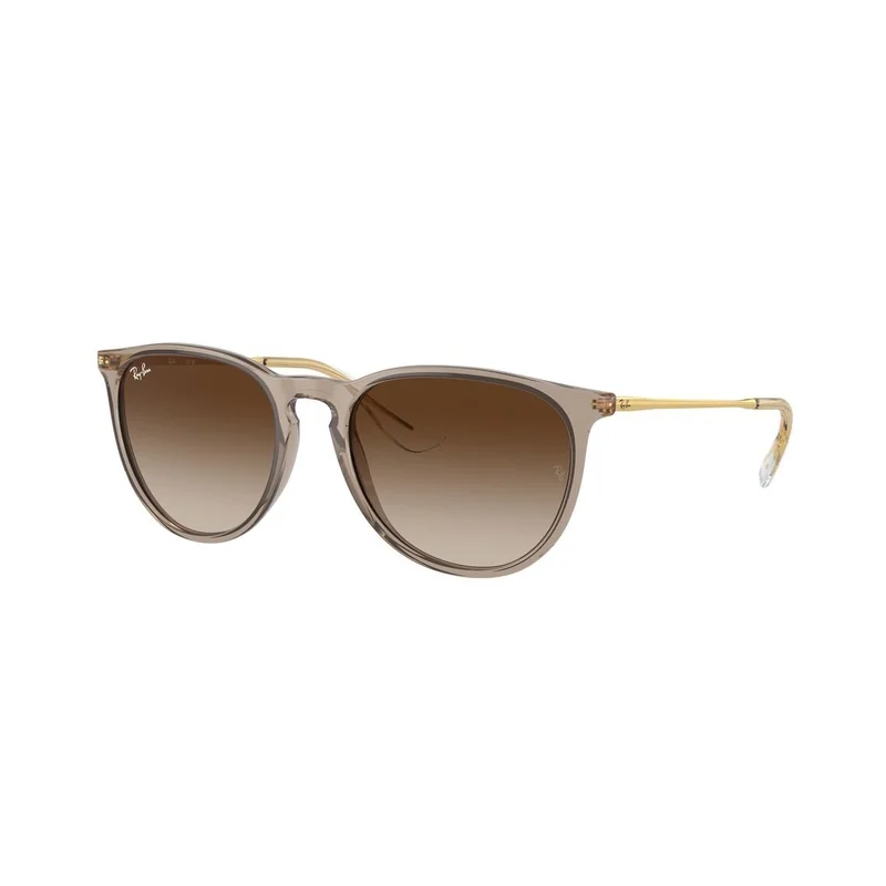 Ray-Ban Erika - Solbriller - Brun - RB4171 674413 5418