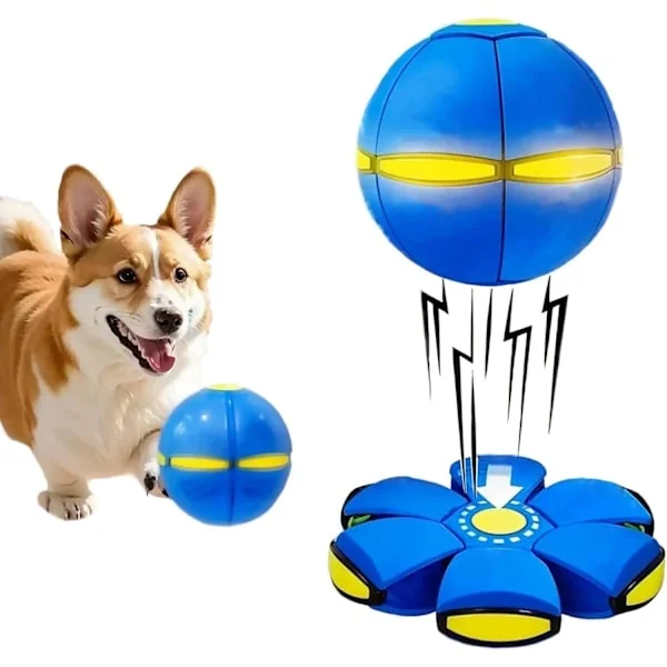 Magisk studsboll, flygande frisbee-hund leksak, LED-upplyst studsboll, dubbelläge fri växling, 6 lysdioder (blå).