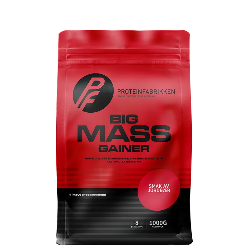Proteinfabrikken Big Mass Gainer, 1000 g