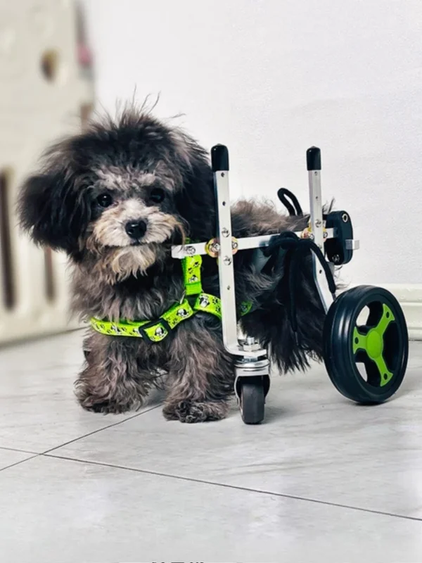 AliExpress - Fauteuil roulant pour chien à 4 roues, harnais pour pattes arrière, fauteuil roulant d'assistance pour animaux âgés, fauteuil roulant 