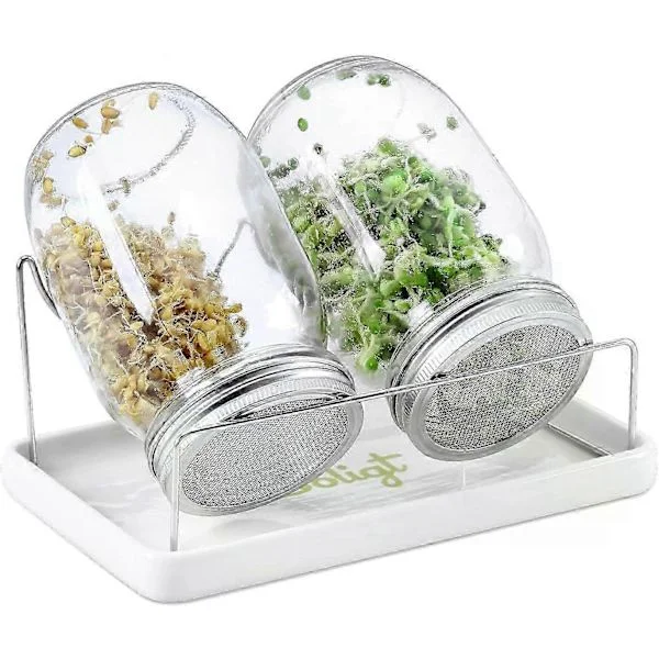 Complete Sprouting Kit for Mason Jars, 2 Wide Quart Jars with 316 Stainless Steel Lids and Stand