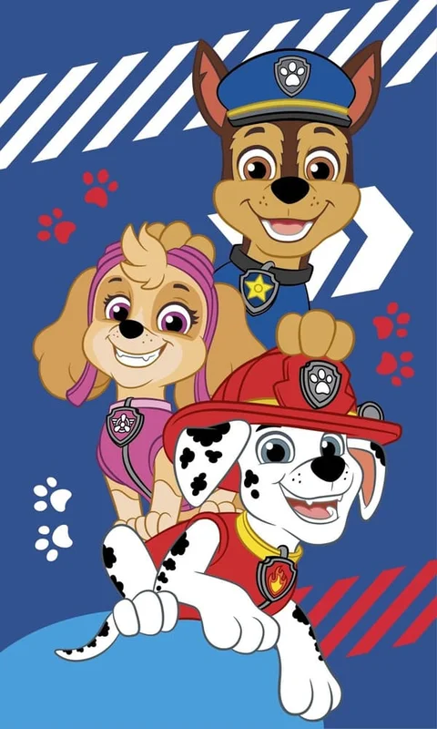 Paw Patrol Blå Handduk, Ansiktshandduk 30x50 cm