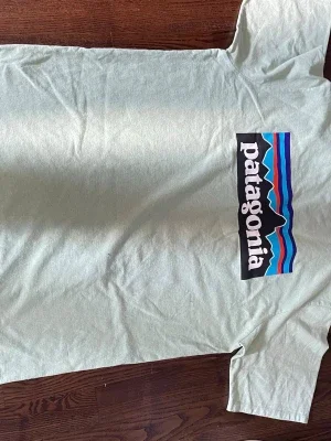 Ljusgrön Patagonia t-shirt
