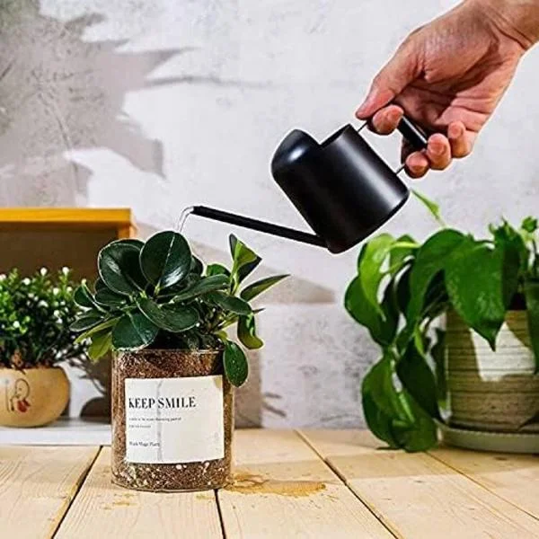 300ML Vannkanne i rustfritt stål Lang Sprøytekanne Mini Metall Vannkanne for Innendørs Utendørs Planter, Svart