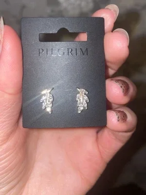 Örhänge från Pilgrim